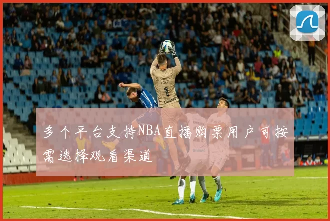 多个平台支持NBA直播购票用户可按需选择观看渠道