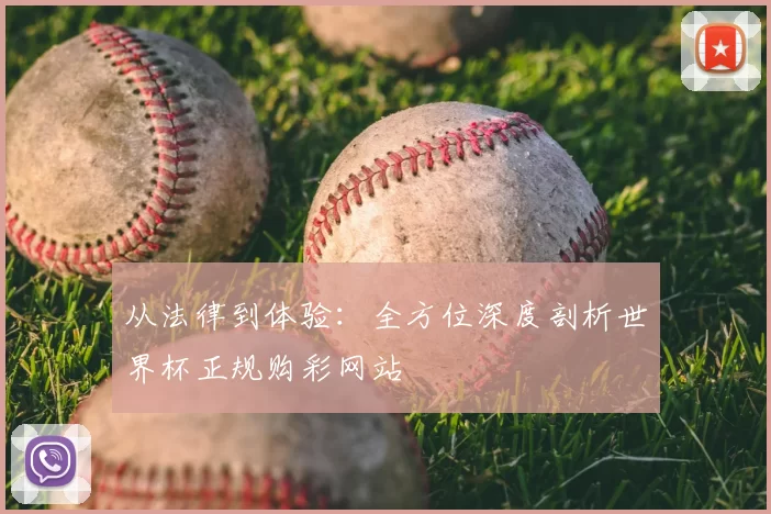 从法律到体验：全方位深度剖析世界杯正规购彩网站
