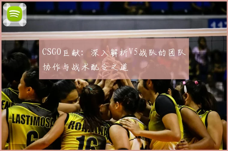 CSGO巨献：深入解析V5战队的团队协作与战术配合之道