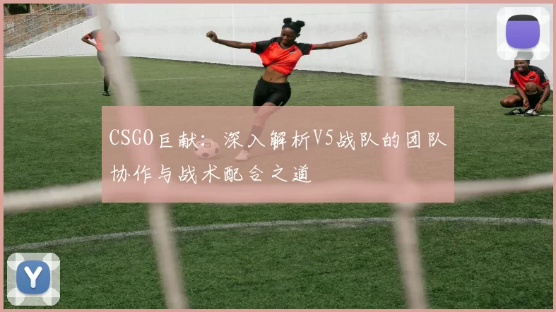 CSGO巨献：深入解析V5战队的团队协作与战术配合之道
