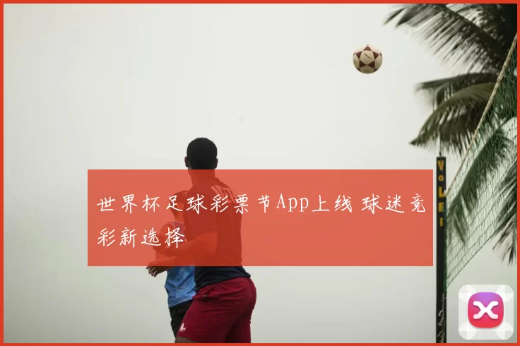 世界杯足球彩票节App上线 球迷竞彩新选择