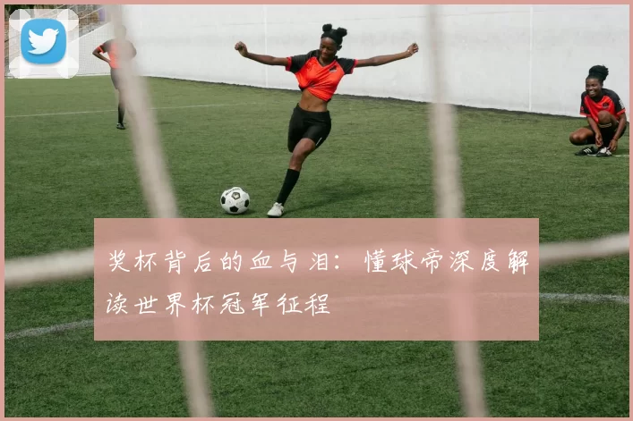 奖杯背后的血与泪:懂球帝深度解读世界杯冠军征程