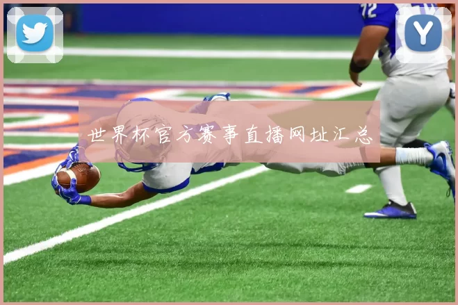 世界杯官方赛事直播网址汇总