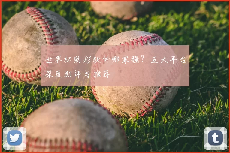 世界杯购彩软件哪家强？五大平台深度测评与推荐