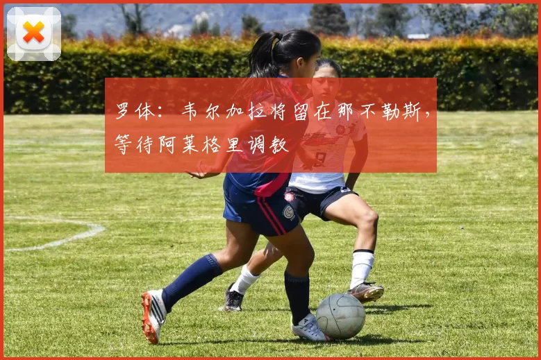罗体:韦尔加拉将留在那不勒斯,等待阿莱格里调教