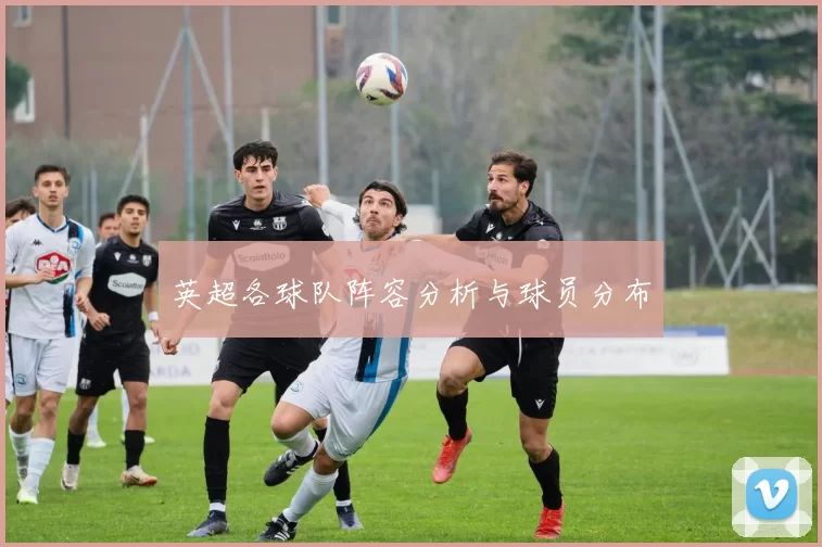 英超各球队阵容分析与球员分布