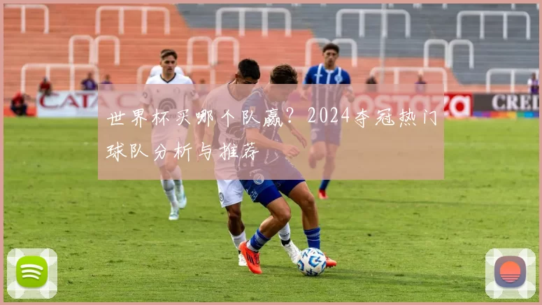 世界杯买哪个队赢？2024夺冠热门球队分析与推荐