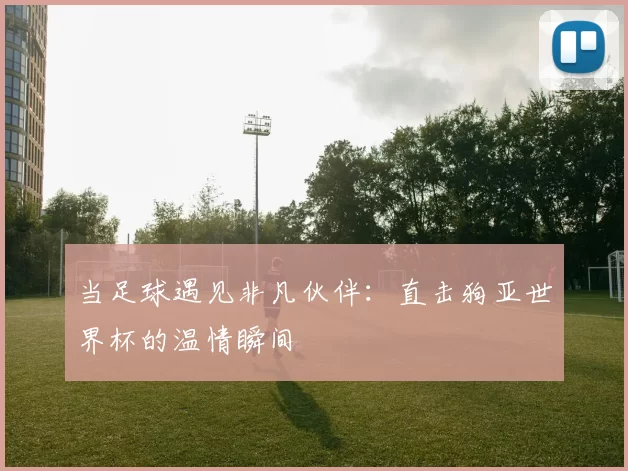 当足球遇见非凡伙伴:直击狗亚世界杯的温情瞬间