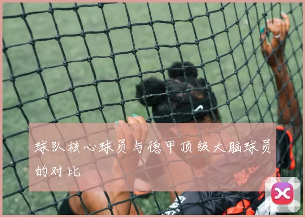 球队核心球员与德甲顶级大脑球员的对比