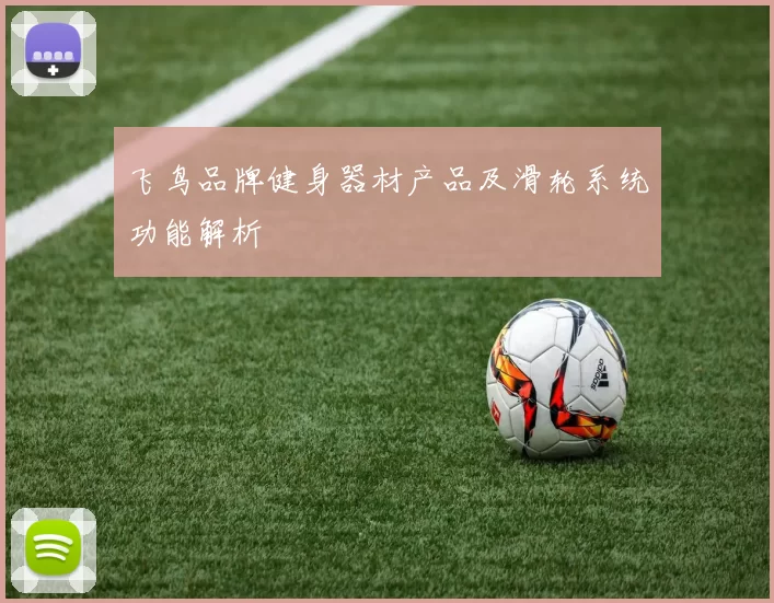 飞鸟品牌健身器材产品及滑轮系统功能解析