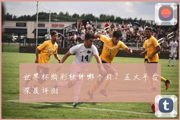 世界杯购彩软件哪个好？五大平台深度评测
