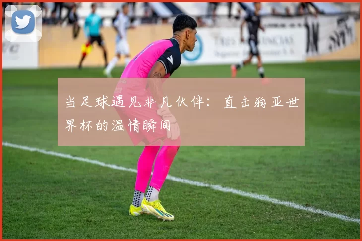 当足球遇见非凡伙伴：直击狗亚世界杯的温情瞬间