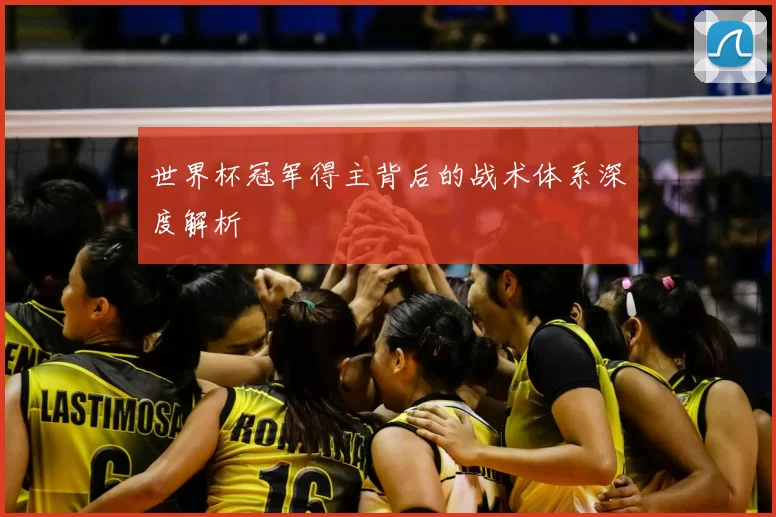 世界杯冠军得主背后的战术体系深度解析