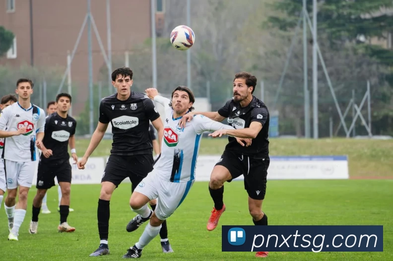 华体官网登录平台生态图