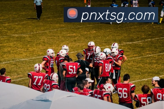 App Interface Preview